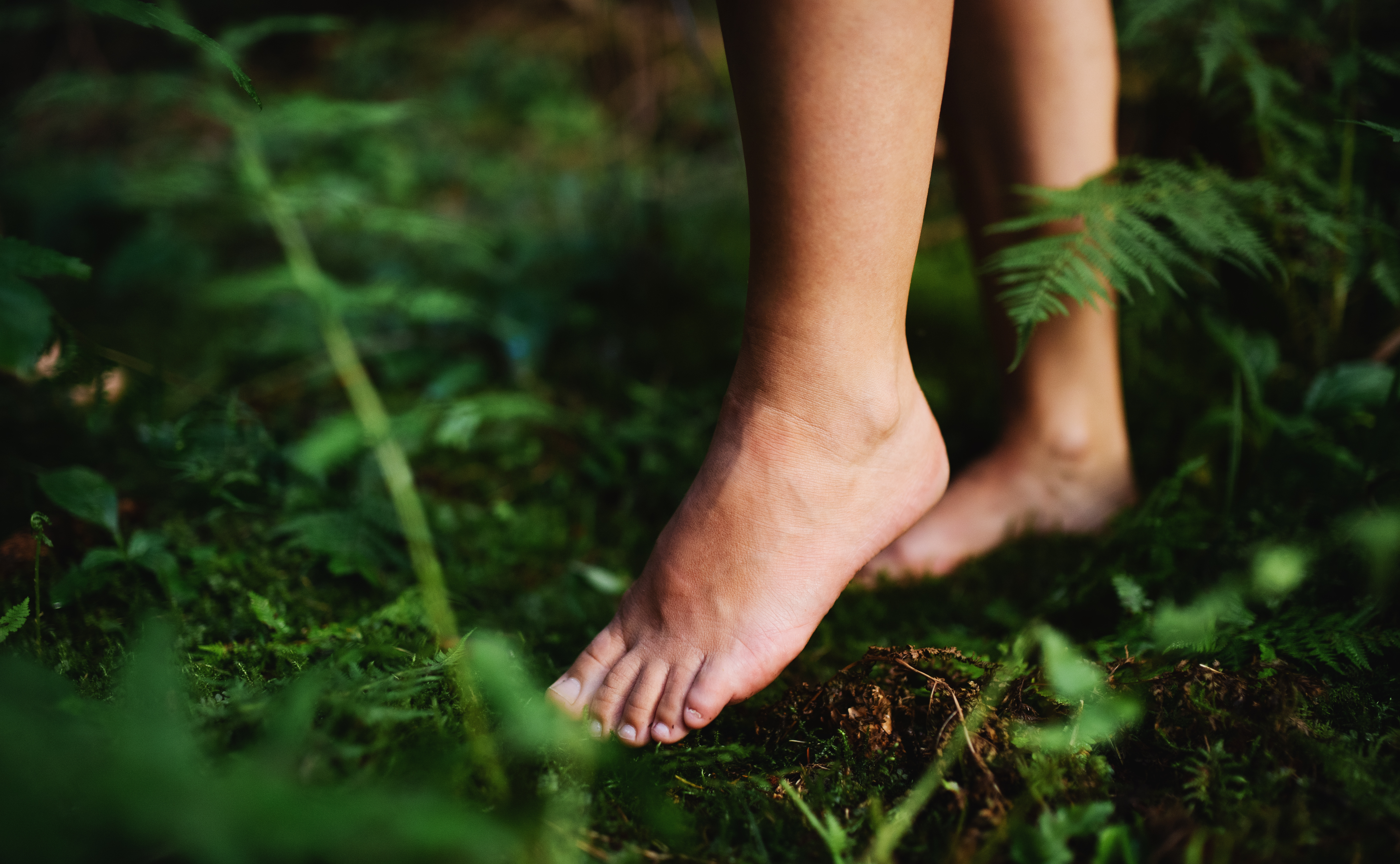 Bare feet of woman standing barefoot outdoors in nature, grounding and forest bathing concept.