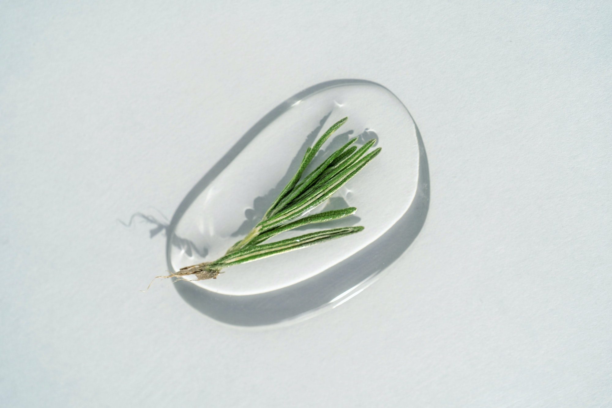 Rosemary Water for hair. A drop of cosmetic gel with rosemary on a blue background.